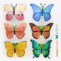 four different colored butterflies on a white background