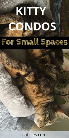 a cat laying on top of a pile of blankets next to a stuffed animal and text that reads kitty condos for small spaces