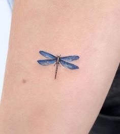 a small blue dragonfly tattoo on the arm