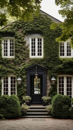 a large house covered in ivy with white windows and black door, surrounded by trees