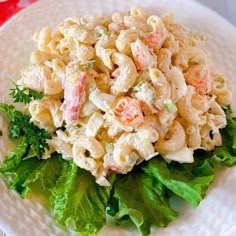 a white plate topped with pasta salad and lettuce