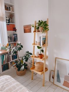 a room with bookshelves, plants and pictures on the wall next to it