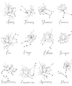 the zodiac signs and their meaningss are drawn in ink with black ink on white paper