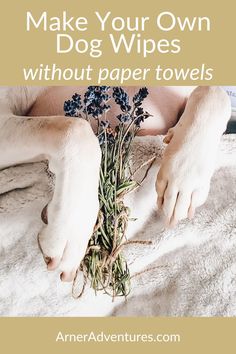 a white dog laying on top of a bed next to a bunch of lavender flowers