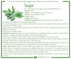 the sage recipe is shown in green and white