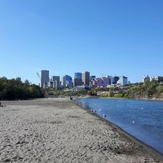 the city is in the distance, and birds are on the sand by the water