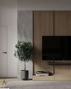 a living room with a large tv on the wall and a potted plant next to it