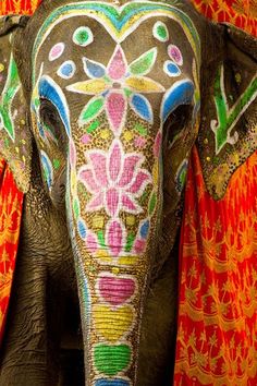 an elephant painted with colorful designs on it's face