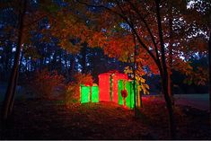 an outdoor area lit up with green and red lights in the dark, surrounded by trees