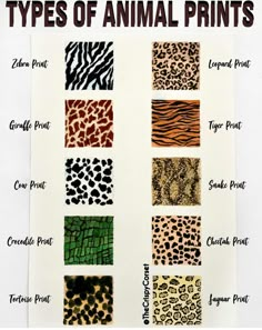 the different types of animal prints are shown in this chart, which includes zebra print and cheetah print