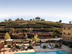 an aerial view of a swimming pool and vineyards in the background, with people sitting at tables around it