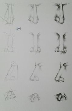 several drawings of different shapes and sizes of animals'heads are shown in this drawing