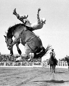 a man riding on the back of a horse while being thrown off its hind legs