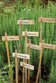 several wooden signs with names on them in front of some plants and bushes, all pointing to different directions