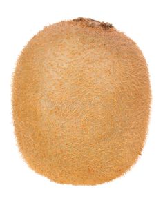 the top view of an orange fruit on a white background stock images and clippings are included in this image