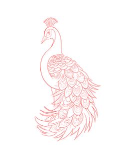 a drawing of a peacock with feathers on it's tail, in red ink