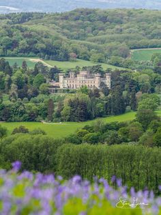 a large house in the middle of a lush green field surrounded by trees and bushes