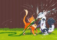 two cats are playing with each other in the grass near a fence, one is spraying water on the other cat