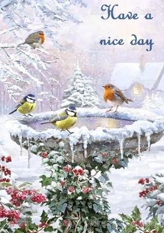 birds sitting on top of a bird bath in the snow