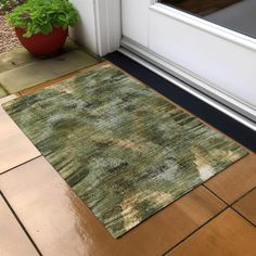 an area rug on the ground in front of a door with a potted plant next to it