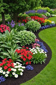 colorful flower garden in the middle of a lawn with black edging and mulch