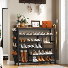 there is a shoe rack with many pairs of shoes on it in the living room