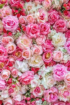 many pink and white flowers are arranged together