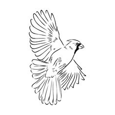 a black and white drawing of a bird flying