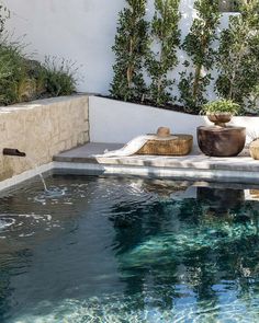 a pool with clear water and plants in the background