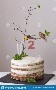 a birthday cake with two candles and birds on top