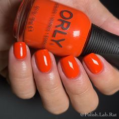 Larissa ⚜️ Nail Account on Instagram: “*pr - “Bird Of Paradise” by @orly | “Wild Natured” Fall 2021 Collection.⁠ This is shown in 2 coats. I think this is like one of those…” Bird Of Paradise, Birds Of Paradise, Paradise