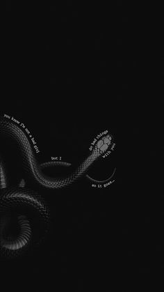 a black and white photo of a snake in the dark with words written on it