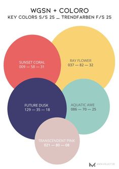 four circles with the names of different colors and numbers on them, all labeled in white