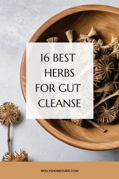 herbs in a wooden bowl with the words 16 best herbs for gutt cleanse