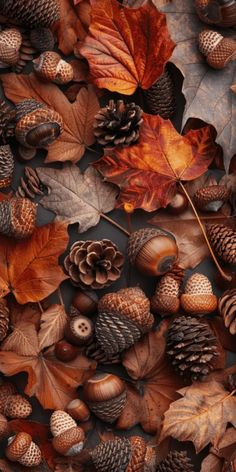 autumn leaves, acorns and pine cones are scattered on the ground in this image