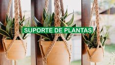 three pictures of a plant in a pot with the words supporte de plants on it