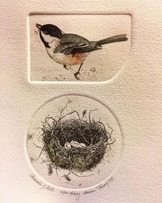 two plates with birds sitting on top of each other in front of a white wall