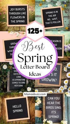 letter boards Classroom Letter Board, Spring Letter Board Quotes, Spring Letter Board, Spring Jokes, Inspirational Quotes Bible, Spring Chalkboard Art, Spring Message, Letter Board Ideas, Spring Chalkboard