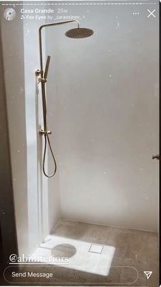 the shower head is mounted to the wall