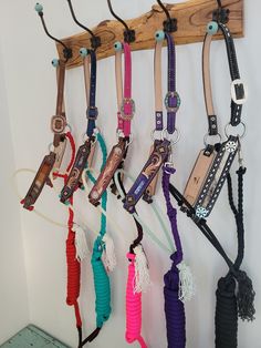 several different colored leashs hanging on a wooden rack next to a wall with a phone