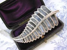 The Victorian Fashionable Fascination with Ferns: A Steampunk Perspective | Cogpunk Steamscribe Scottish Brooch, Pebble Jewelry, European Jewelry, Scottish Jewellery, Silver Fern, Fern Leaf, Leaf Brooch, Agate Jewelry, Agate Bracelet