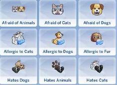 an animal quiz game with cats, dogs, and other animals on it's screen