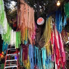 colorful streamers hanging from a tree in the park