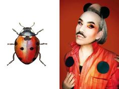 a lady bug is shown next to an image of a man with grey hair and mustache