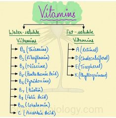 a diagram showing the different types of vitamins