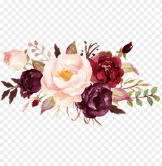 watercolor flowers on a transparent background