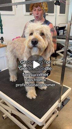 a white dog standing on top of a table next to a woman in a salon