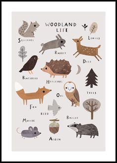 woodland life poster with animals and trees