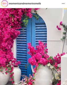 pink flowers in white vases next to a blue door