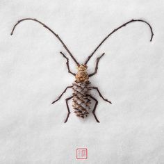 a bug that is sitting in the snow